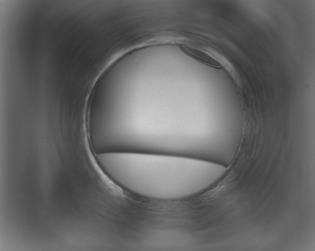 X0000074311055200608251000