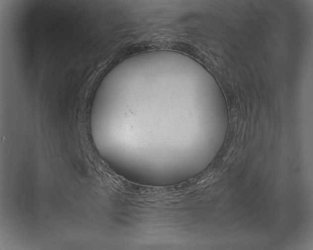 X0000074311057200608250959