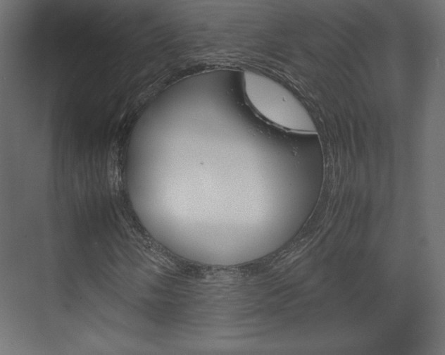X0000074311058200608250959