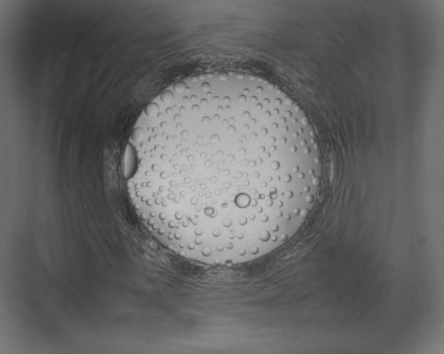 X0000074311059200608250959