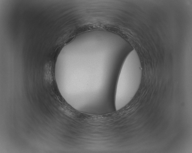 X0000074311060200608250959