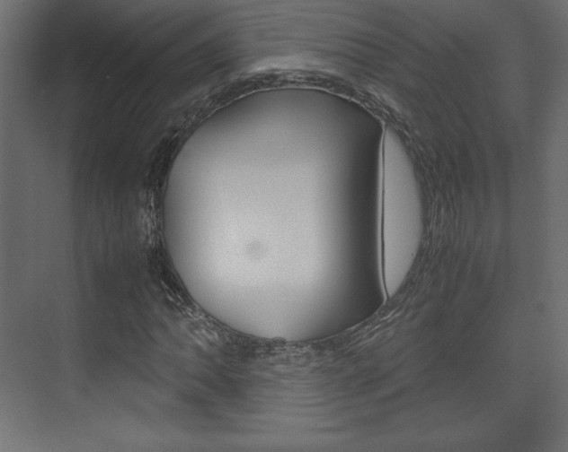 X0000074311062200608250959