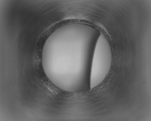 X0000074311064200608250959