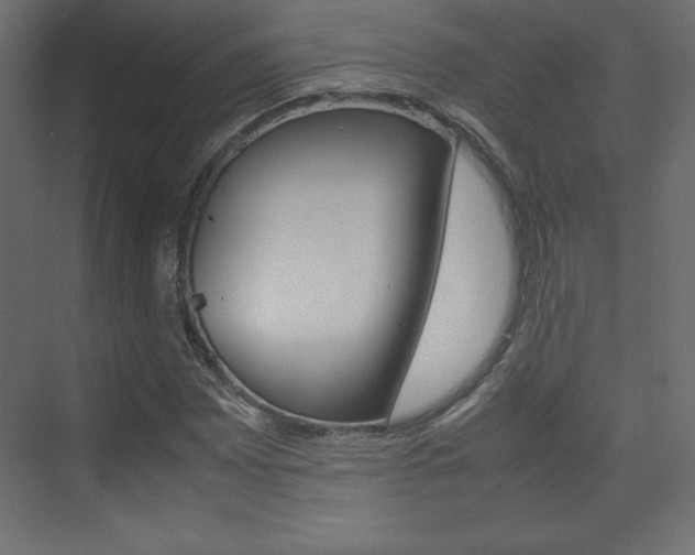 X0000074311065200608250959
