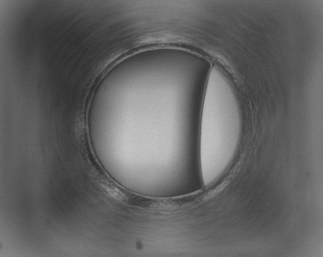X0000074311073200608250959