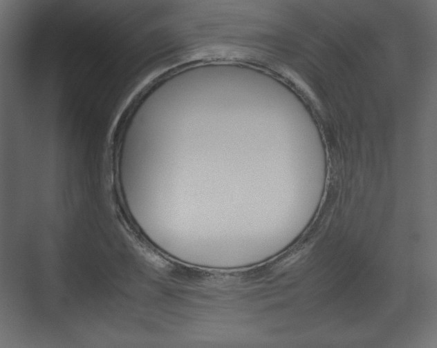 X0000074311075200608250959