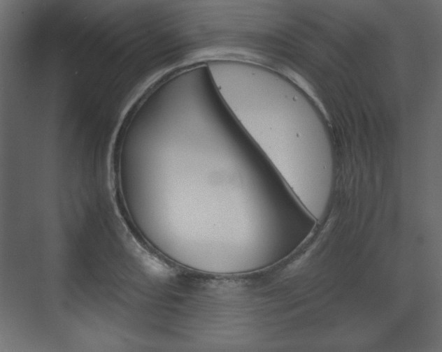 X0000074311082200608250958