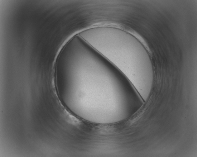 X0000074311102200608250958