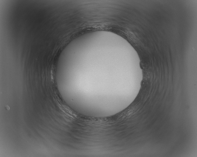 X0000074311106200608250957