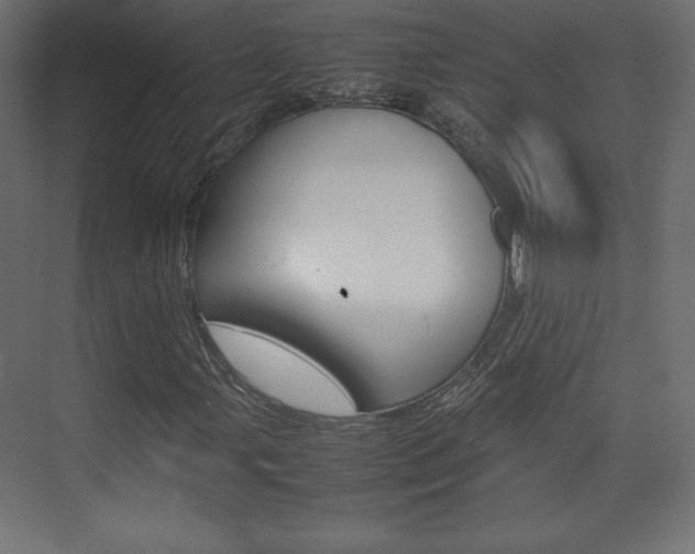 X0000074311107200608250957
