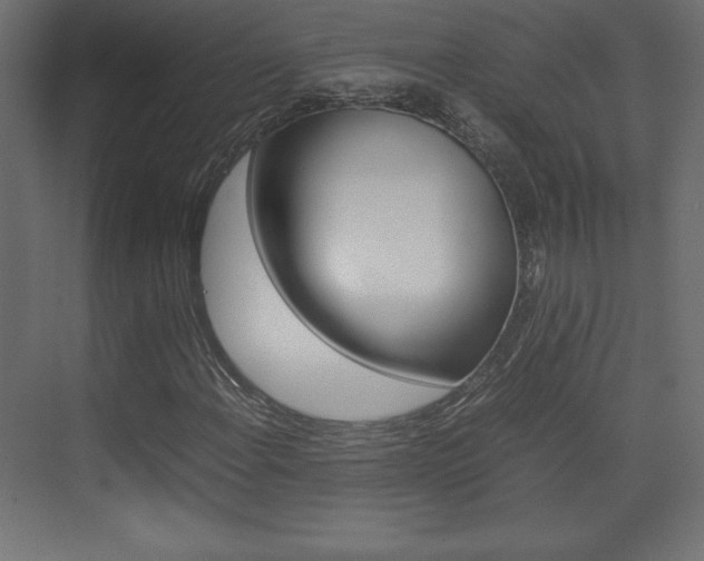 X0000074311108200608250957