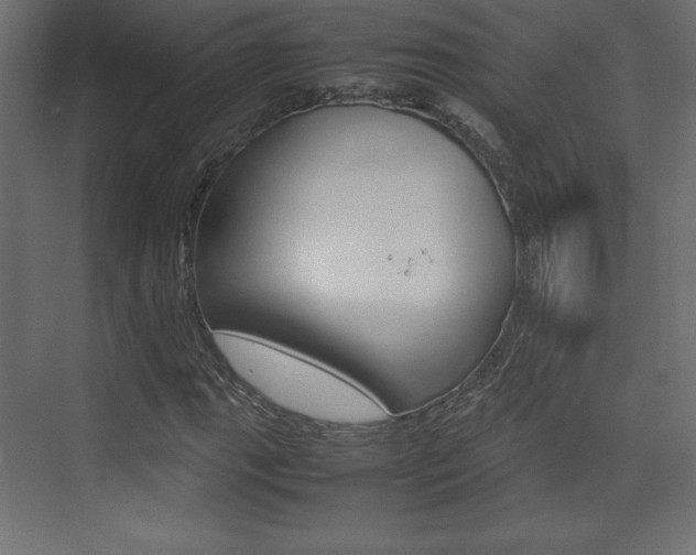 X0000074311111200608250957