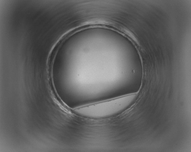 X0000074311116200608250957