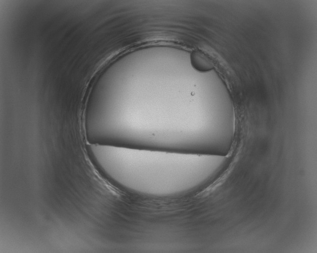 X0000074311121200608250957