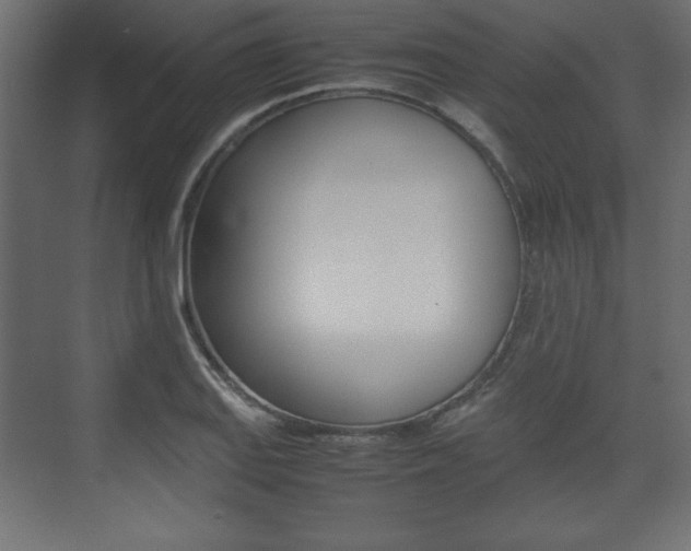 X0000074311127200608250958
