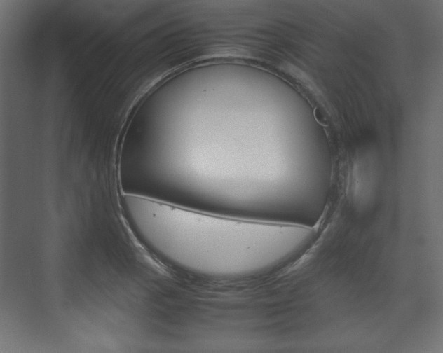 X0000074311129200608250958