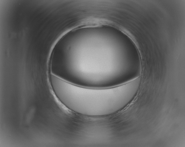 X0000074311152200608250958