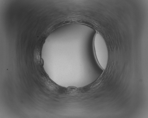 X0000074311155200608250957