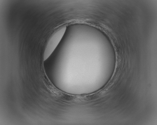 X0000074311161200608250957