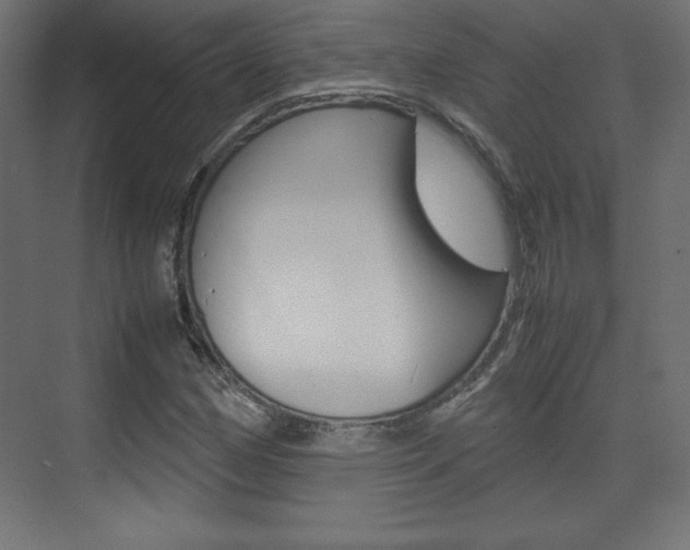 X0000074311162200608250957