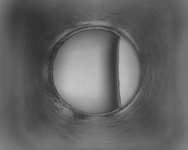 X0000074311163200608250957