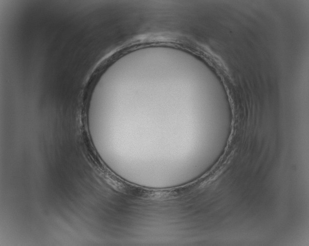 X0000074311166200608250957