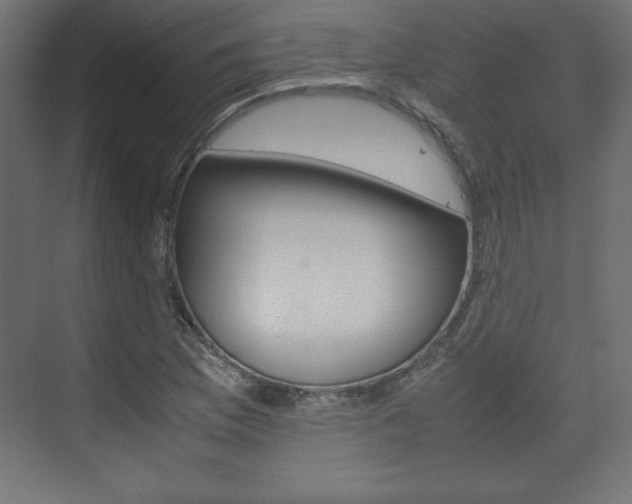 X0000074311169200608250957
