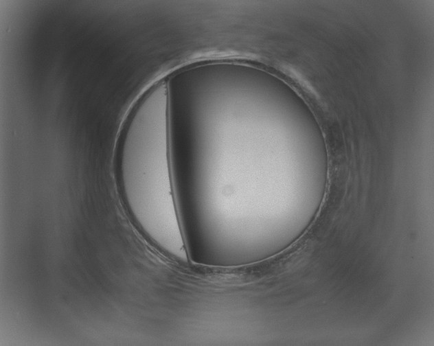 X0000074311173200608250957
