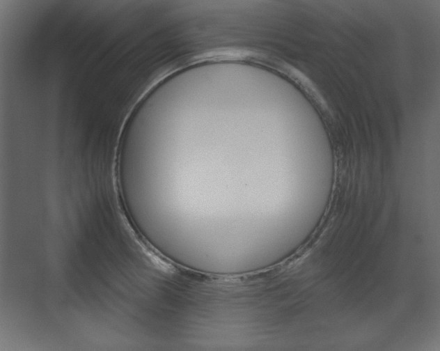 X0000074311186200608250957
