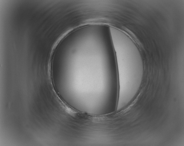 X0000074311196200608250956