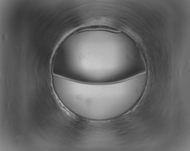 X0000074311200200608250956