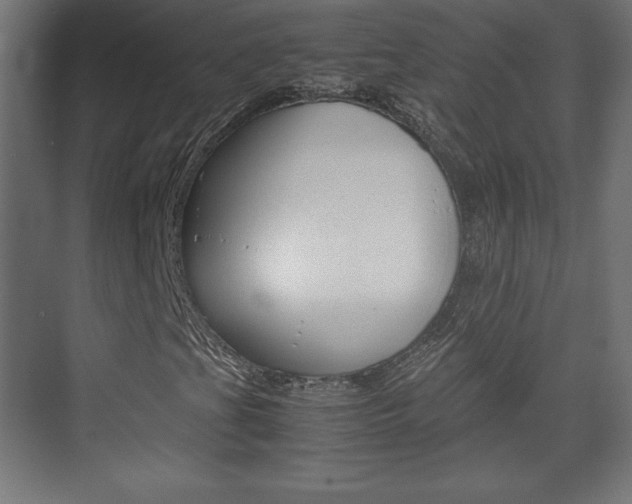 X0000074311201200608250956