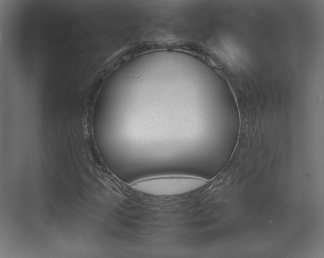 X0000074311205200608250956
