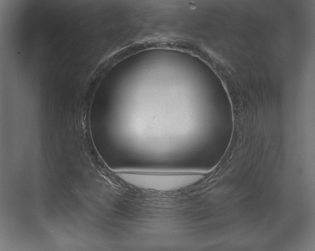 X0000074311206200608250956
