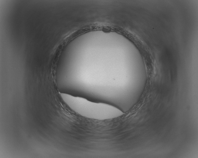 X0000074311207200608250956