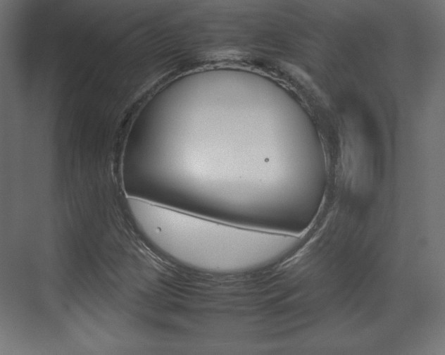 X0000074311209200608250956
