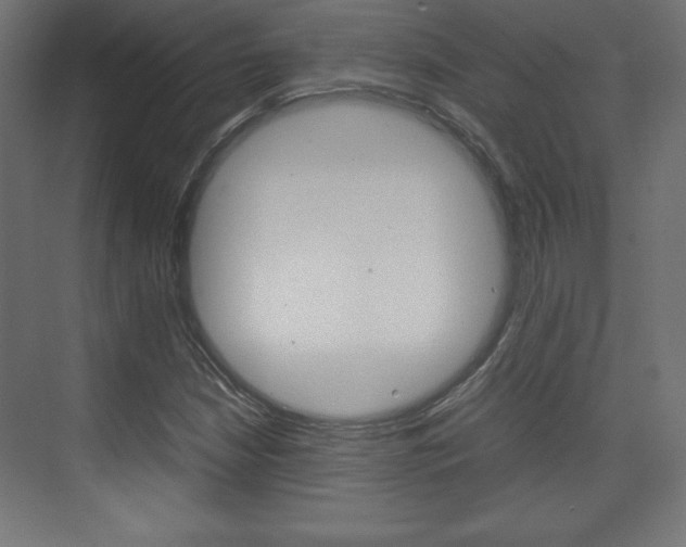 X0000074311210200608250956