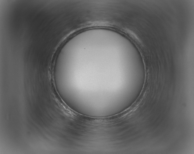 X0000074311212200608250956