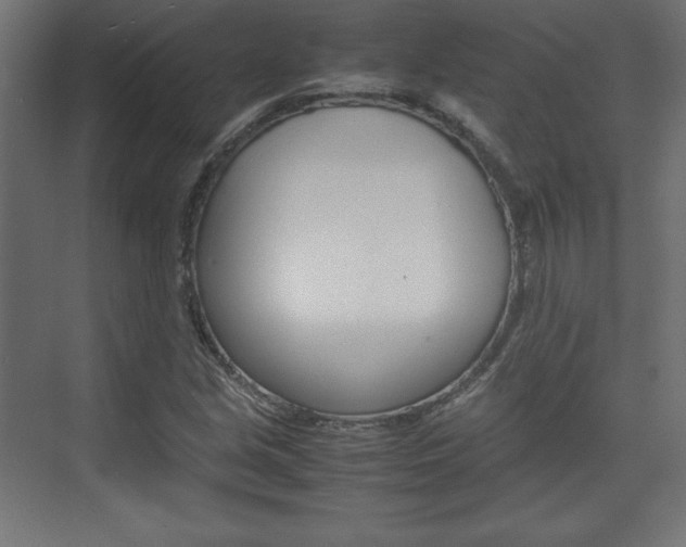 X0000074311213200608250956