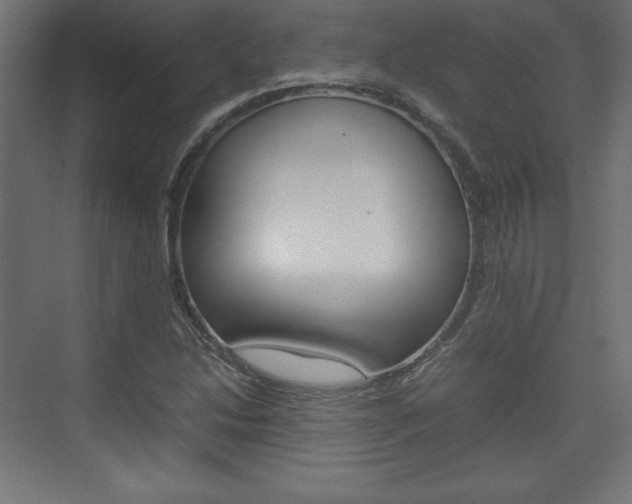 X0000074311214200608250956