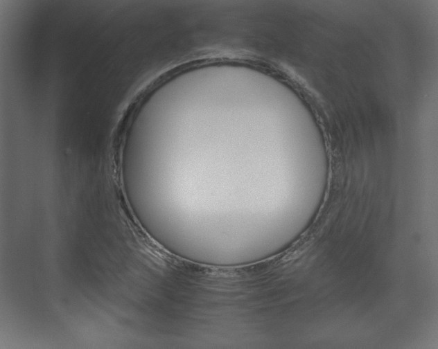 X0000074311215200608250956