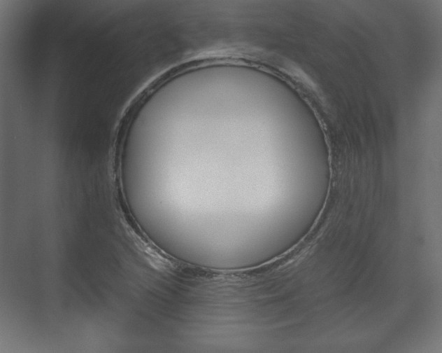 X0000074311216200608250956