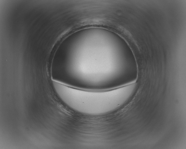 X0000074311218200608250956