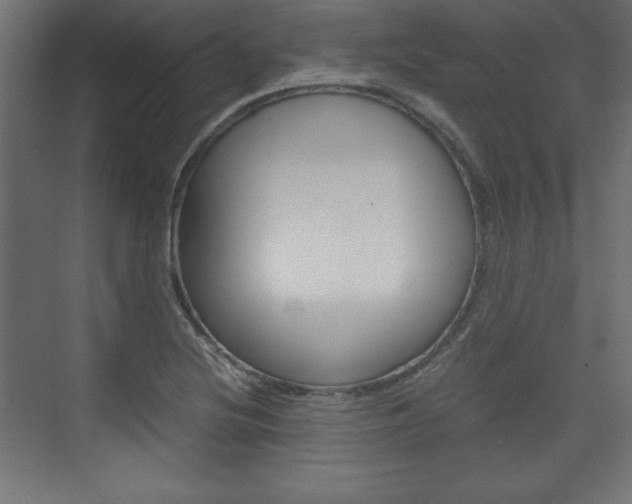 X0000074311220200608250956