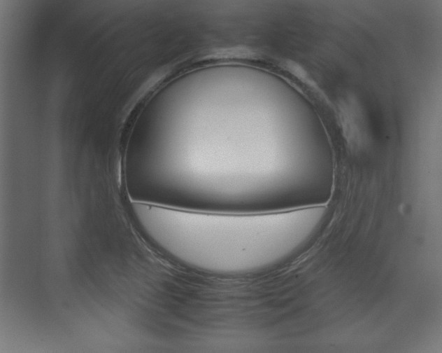 X0000074311221200608250956