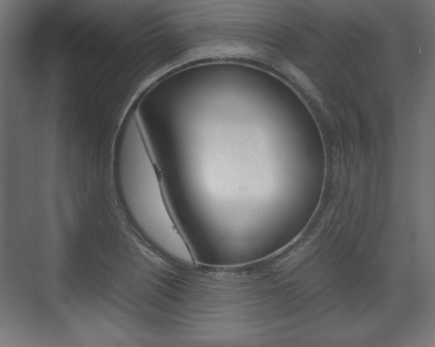 X0000074311226200608250956