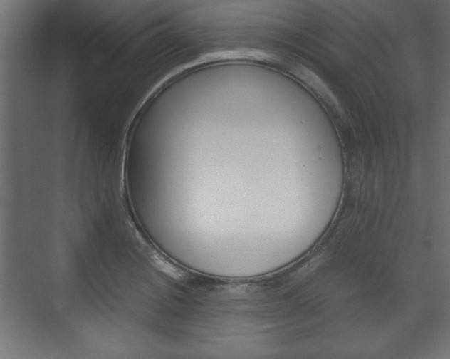 X0000074311228200608250956