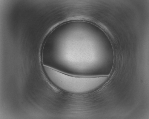 X0000074311230200608250956