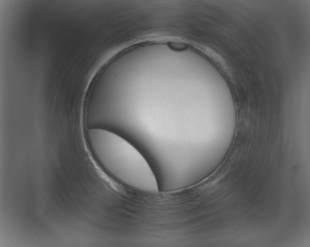 X0000074311231200608250956