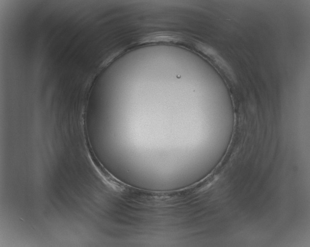 X0000074311233200608250956